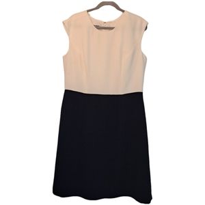 NEW Kasper Colorblock Neutral Sleeveless Dress Size 14